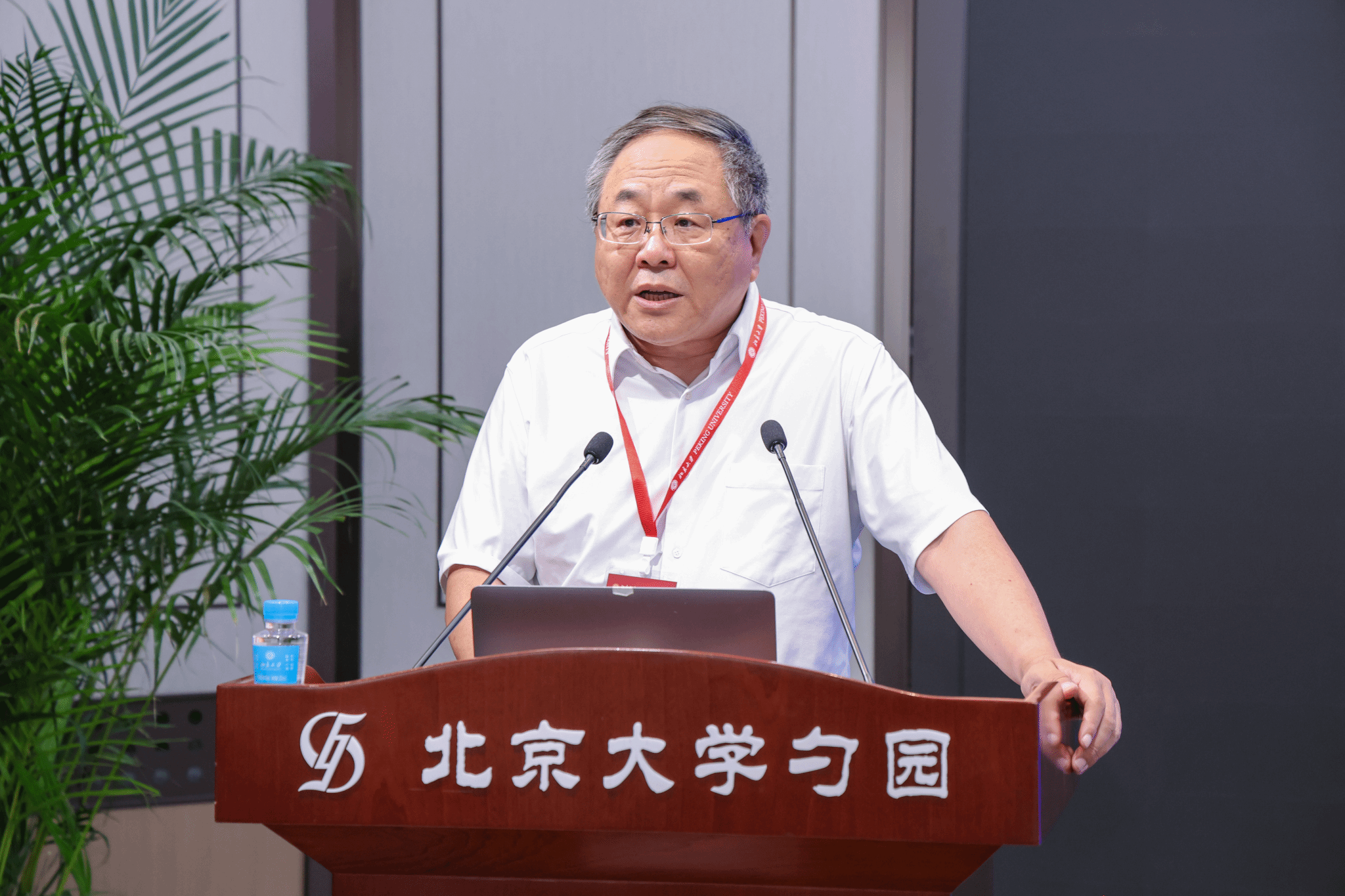 小狐狸直播