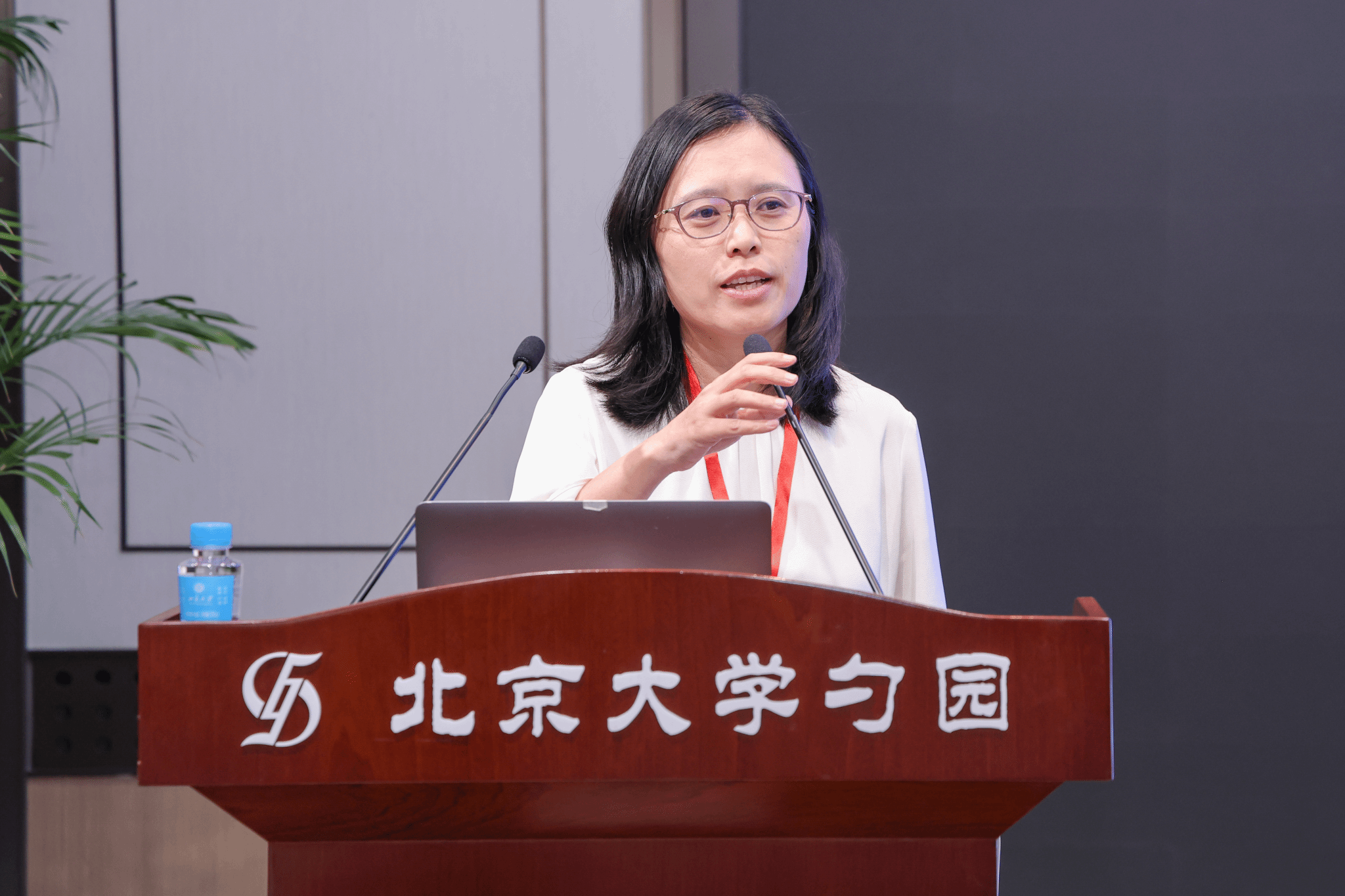 小狐狸直播