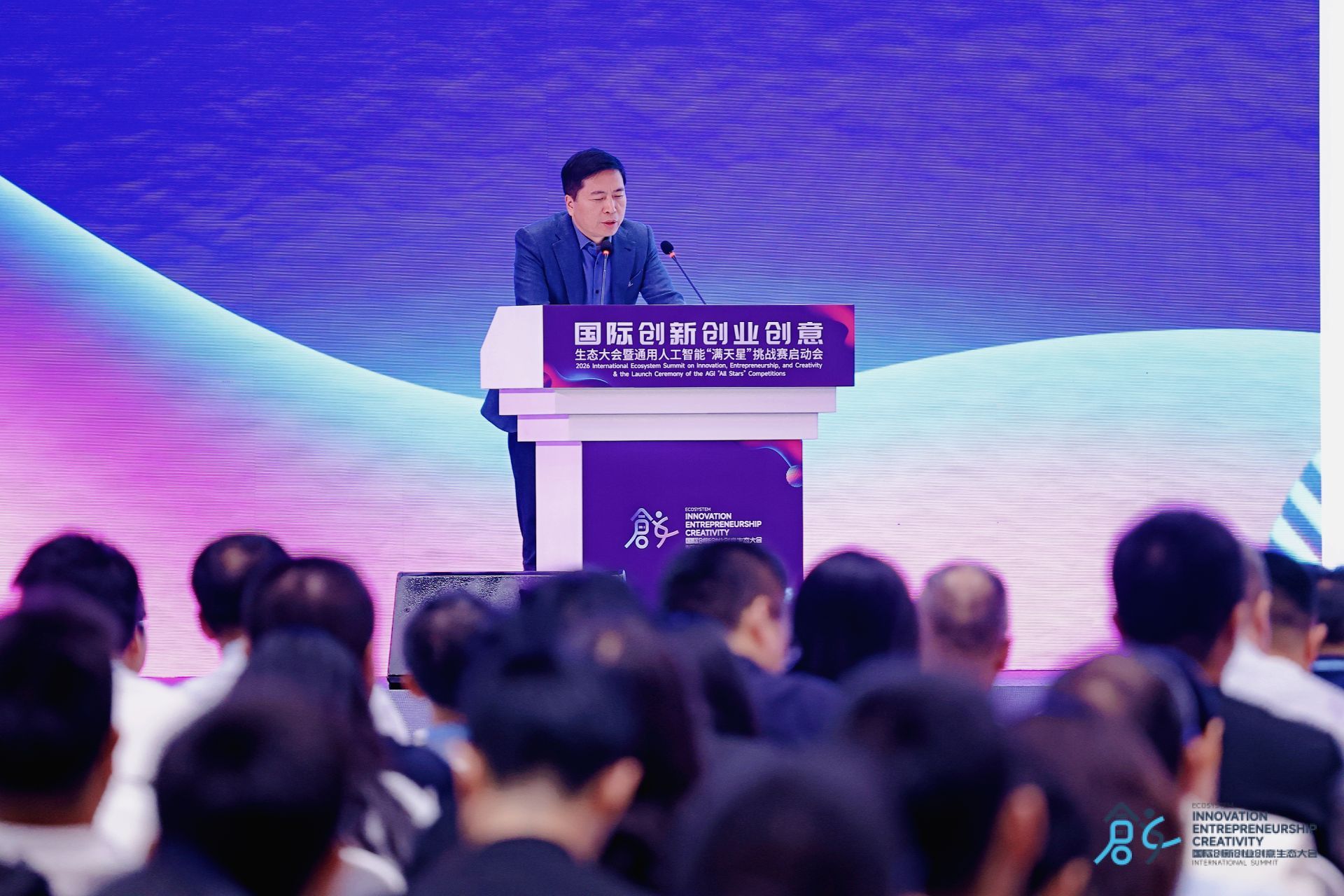小狐狸直播