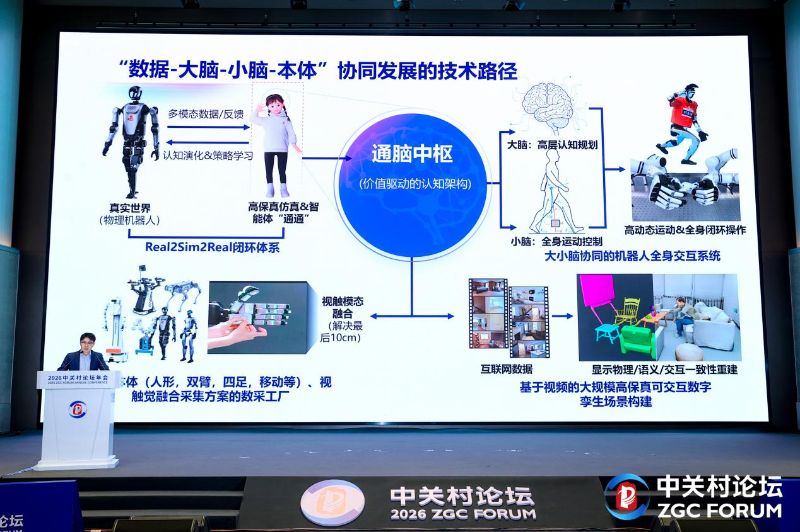 小狐狸直播